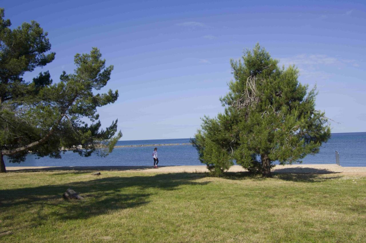 Apartment Trisi
